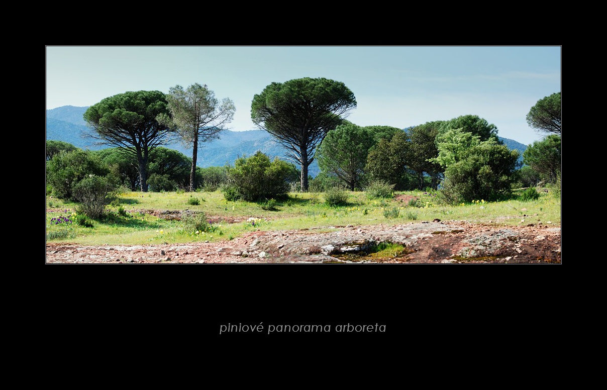 160_Plain de Bois