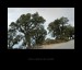128_stromy v sedle Canadel - panorama