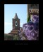 173_Zvonice I s vistárií v Grimaud